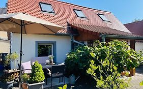 Ferienhaus Neuseenland
